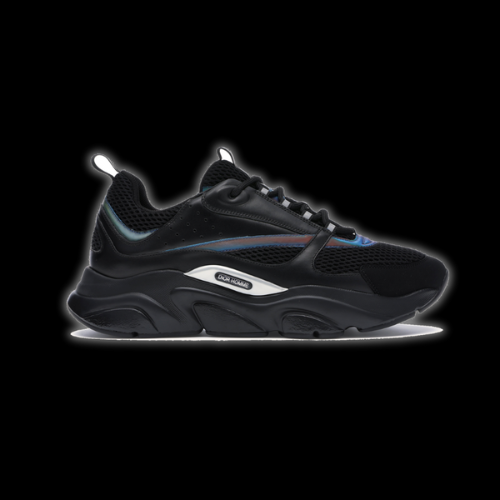 Dior B22